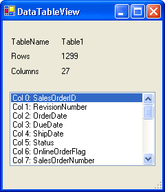 Figure 8: This visualizer takes the same metadata from Figure 7, but displays it in a Windows Form.