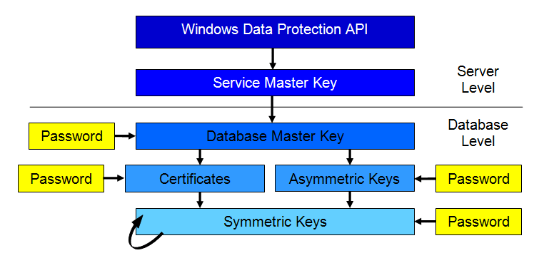Figure 1: SQL Server 2005's encryption key hierarchy. The Service Master Key protects all Database Master Keys, which in turn protect all SQL Server-managed keys you use within the database.