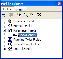 Figure 3:  Parameter is now displayed in Field Explorer.