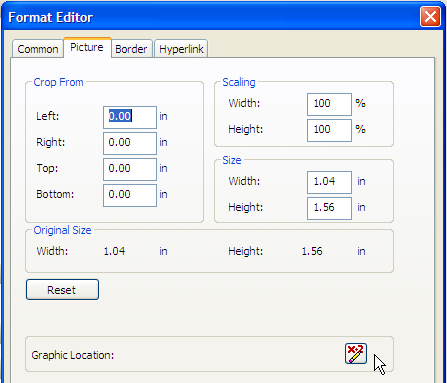 Figure 16:  The Crystal Reports XI Format Editor for Pictures.