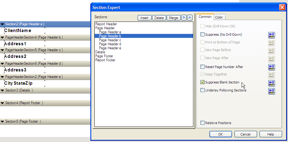 Figure 18:  Using the Crystal Reports Section Expert to suppress blank sections.