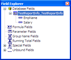 Figure 20:  Properties from .NET class available in Field Explorer.