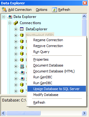 Figure 1: You can run the Upsizing Wizard directly from the Sedna version of the Data Explorer.