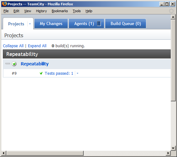 Figure 10: TeamCity project status screen.