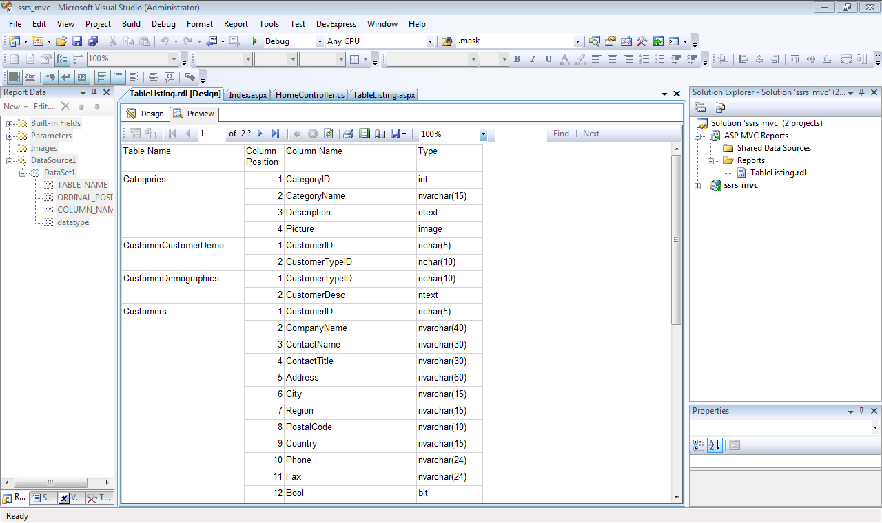 Figure 4: The SSRS report in Preview mode.