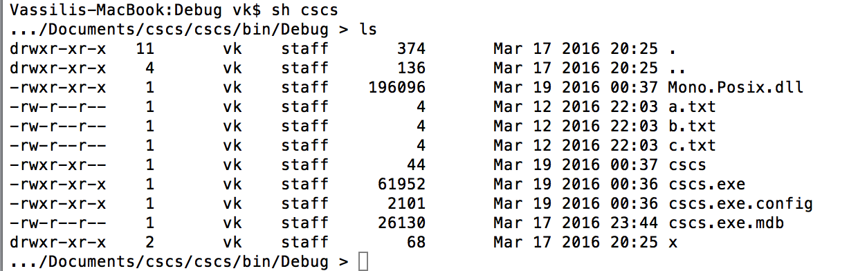 Figure 3: Running CSCS ls command on a Mac