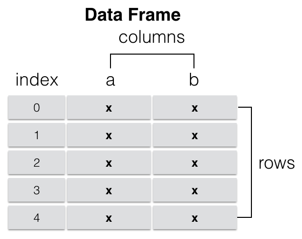 Figure 8: The structure of a DataFrame
