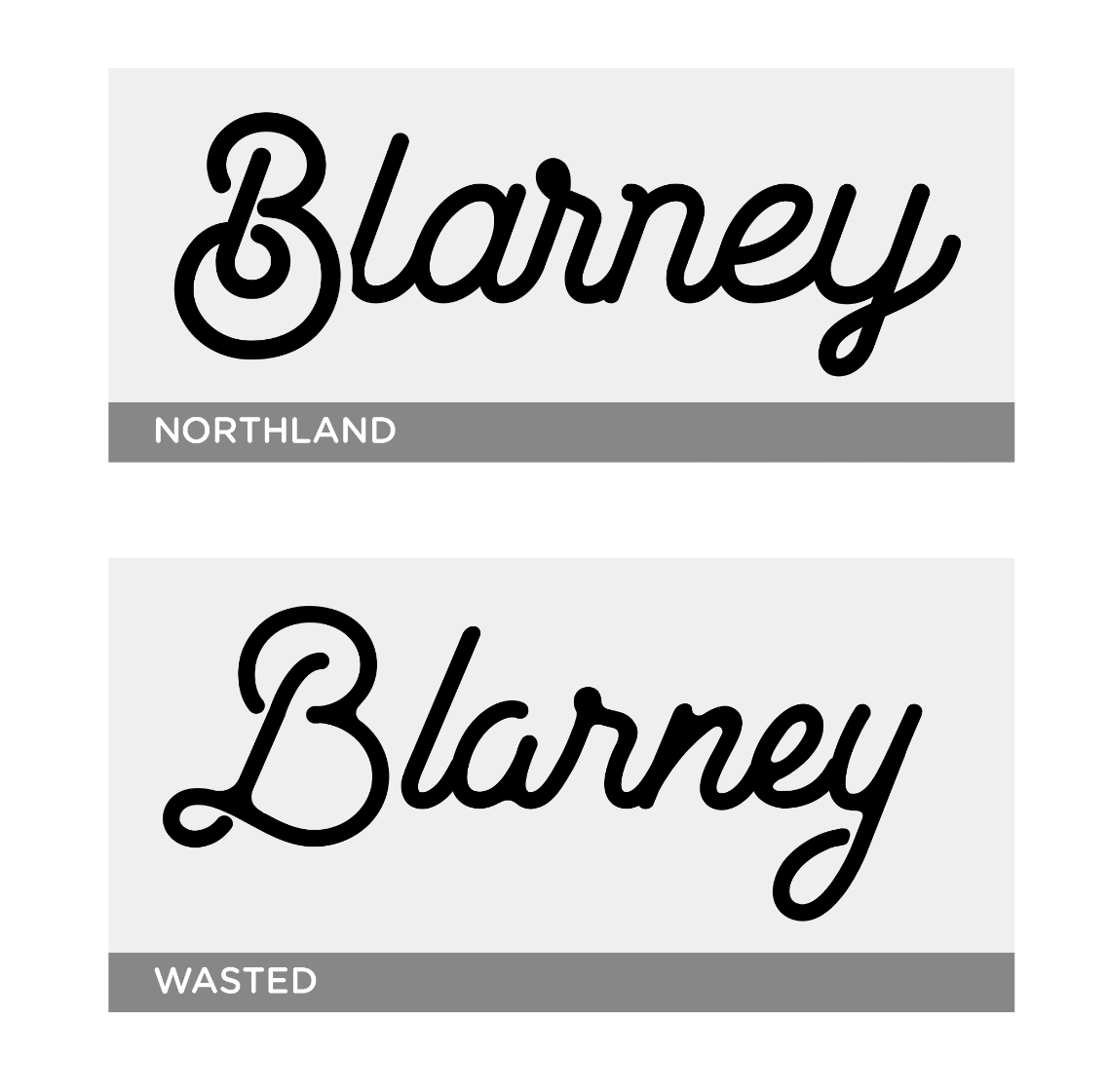 Figure 9: Blarney logo options in a couple of different font styles.