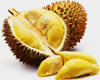 Figure 32      : A test image of a durian    