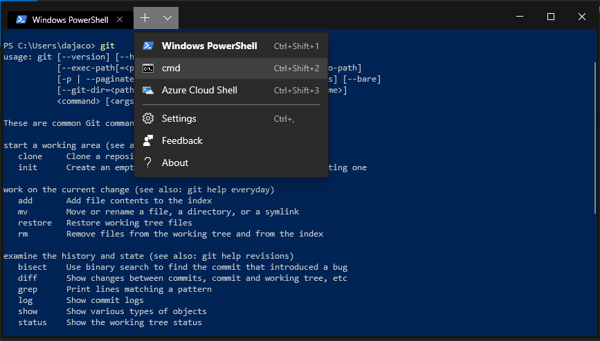 Figure 3: XAML Islands in Action with the new Windows Terminal
