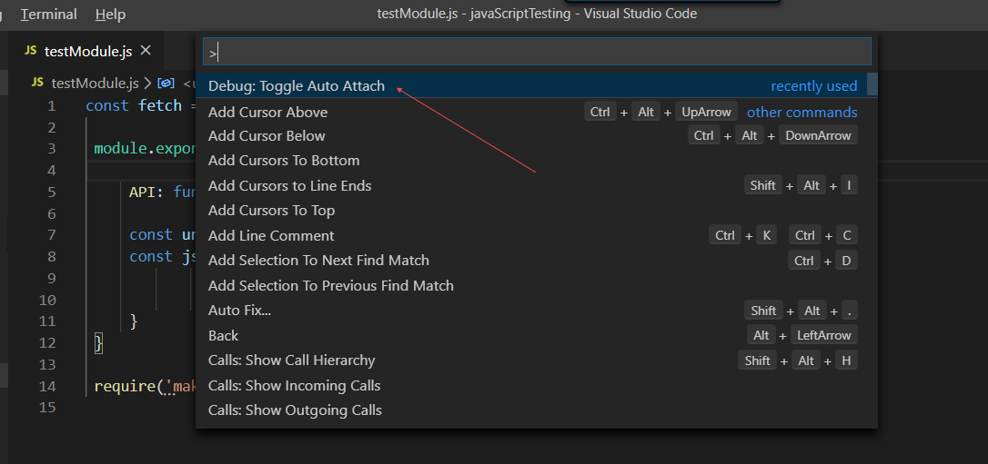 Figure 5: The command palette in Visual Studio Code is accessed via the ctrl+shift+p shortcut and is the way you access common functions and extensions. 