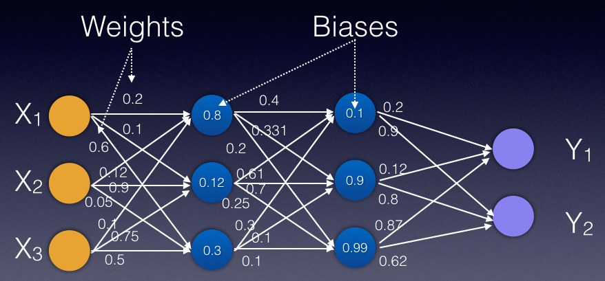 Figure 2: Initially, weights and biases are randomly assigned to each connection and node in the neural network.
