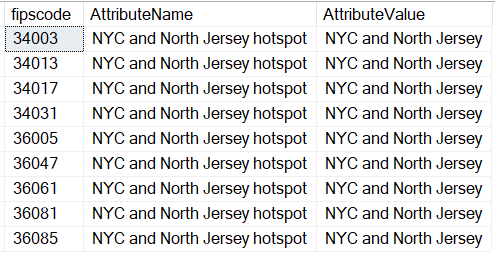 Figure 9: The rows in the CustomGeography table for the NYC/NJ hotspot
