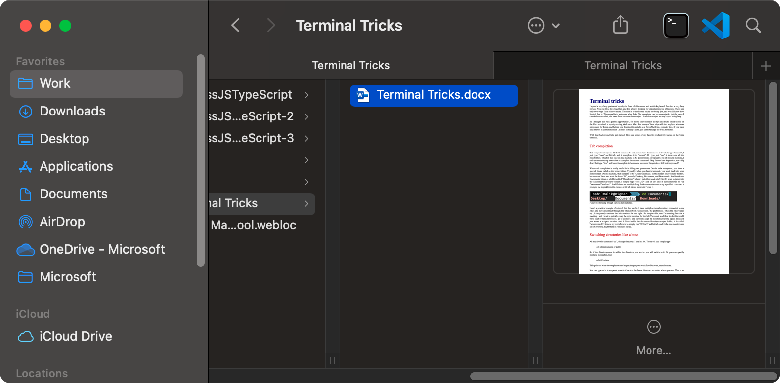 Figure 3: Terminal and VSCode pinned in Finder