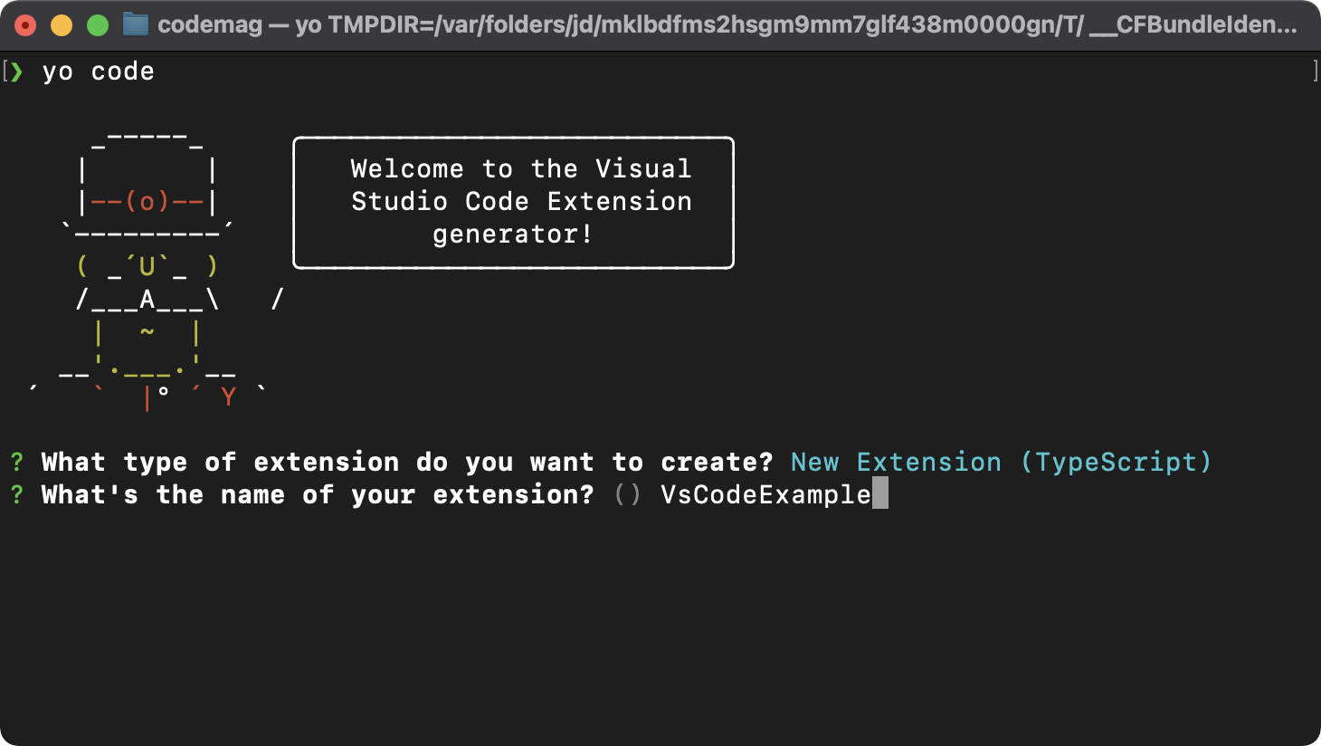 Figure 4: Naming the VS Code extension
