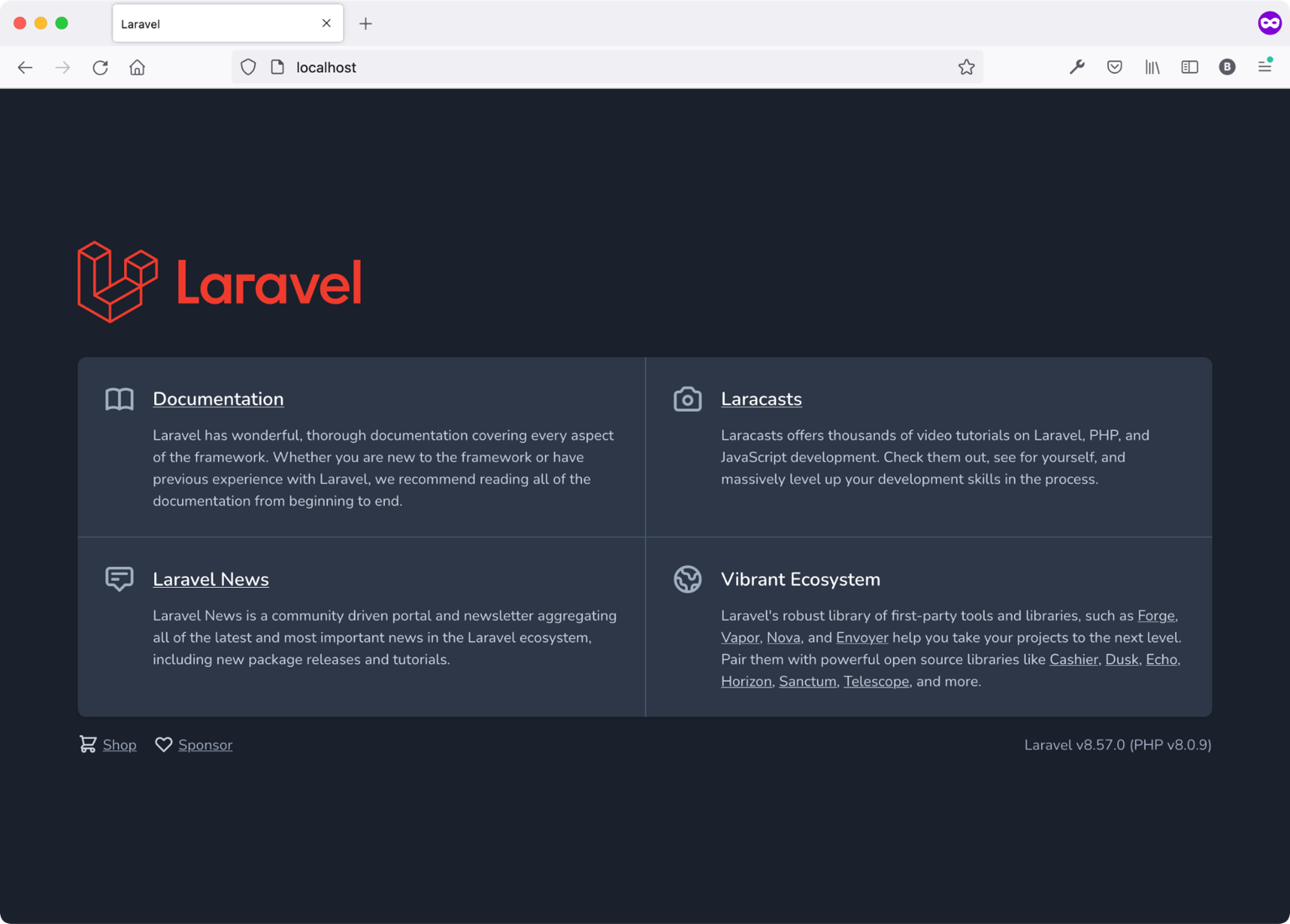 Figure 4: Laravel project running locally