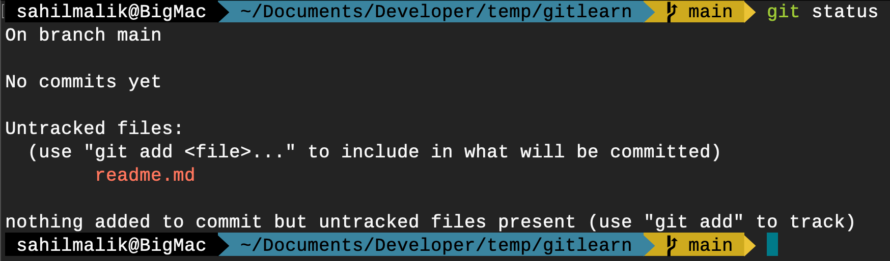 Figure 4: Git status tells me that I have an untracked file.