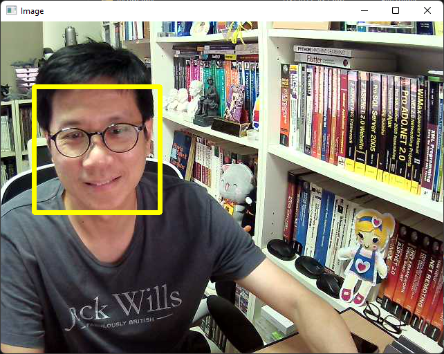 Figure 4: Detecting faces using the webcam 